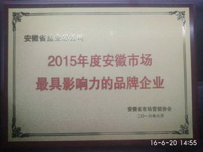 安徽省盐业投资控股集团 投资控股的战略意义与未来展望