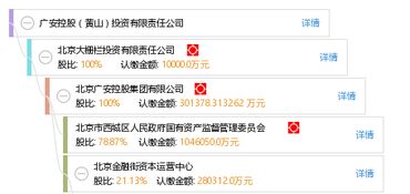 广安控股黄山投资有限责任公司 战略投资与控股布局解析