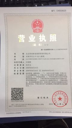 北京国亚投资管理 投资控股领域的稳健力量